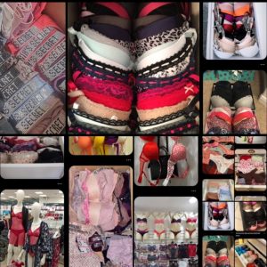 Bras and Panties Liquidation Pallet