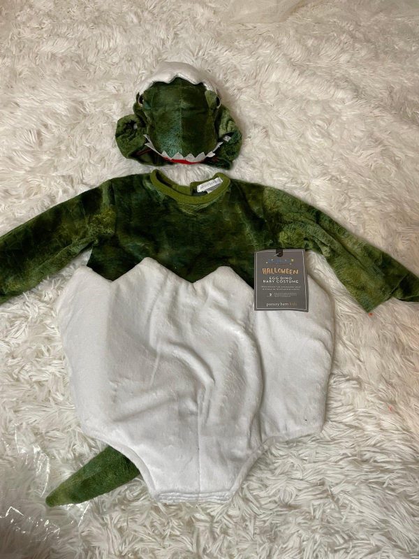 Dinosaur Custom Liquidation Pallets - Image 11