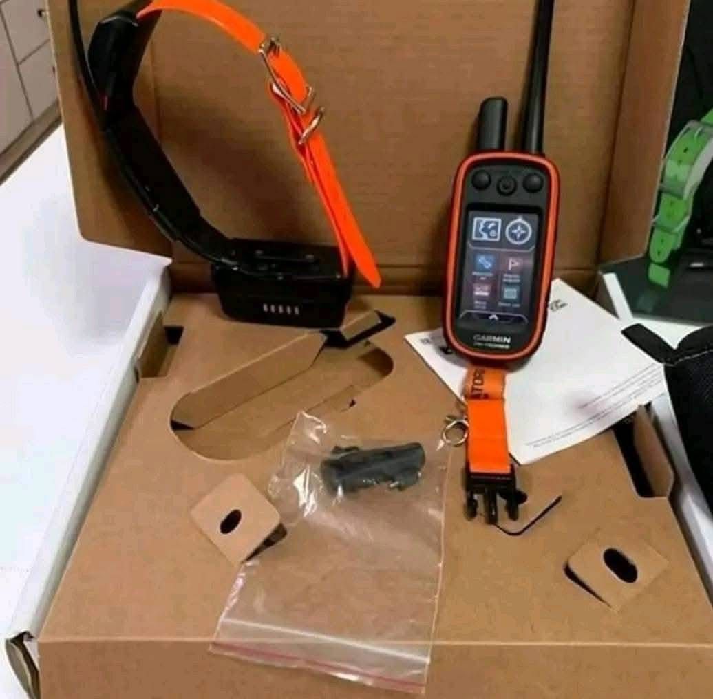 Dog Training Collar & Handheld - Image 3