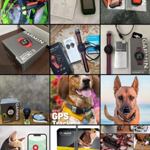 Dog Training Collar & Handheld