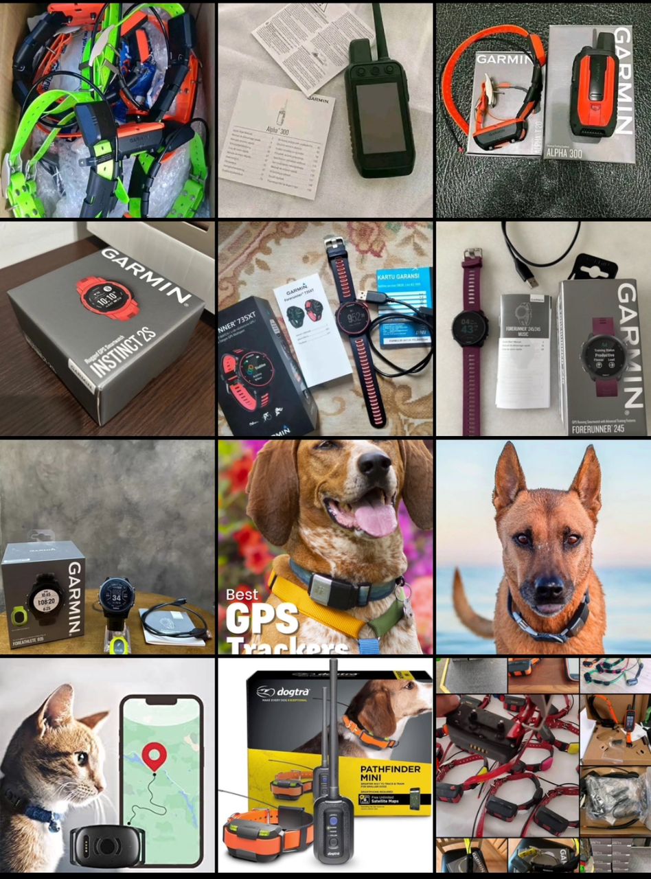 Dog Training Collar & Handheld