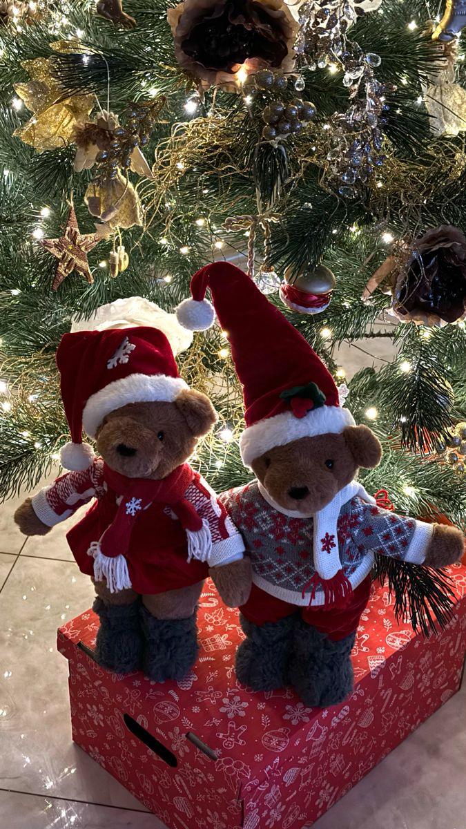 Christmas Gift Packs Liquidation - Image 7